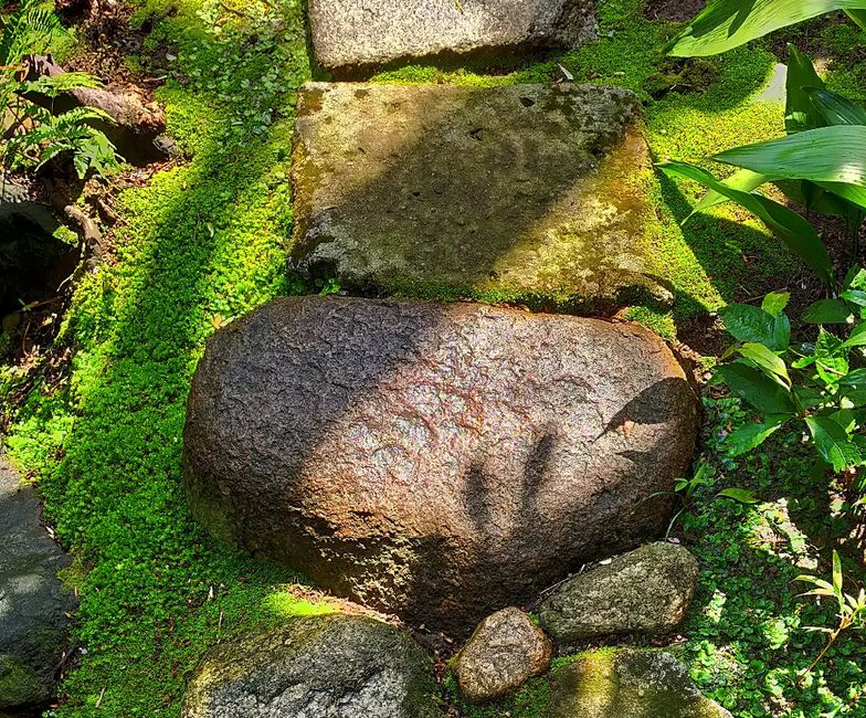 大橋茶寮